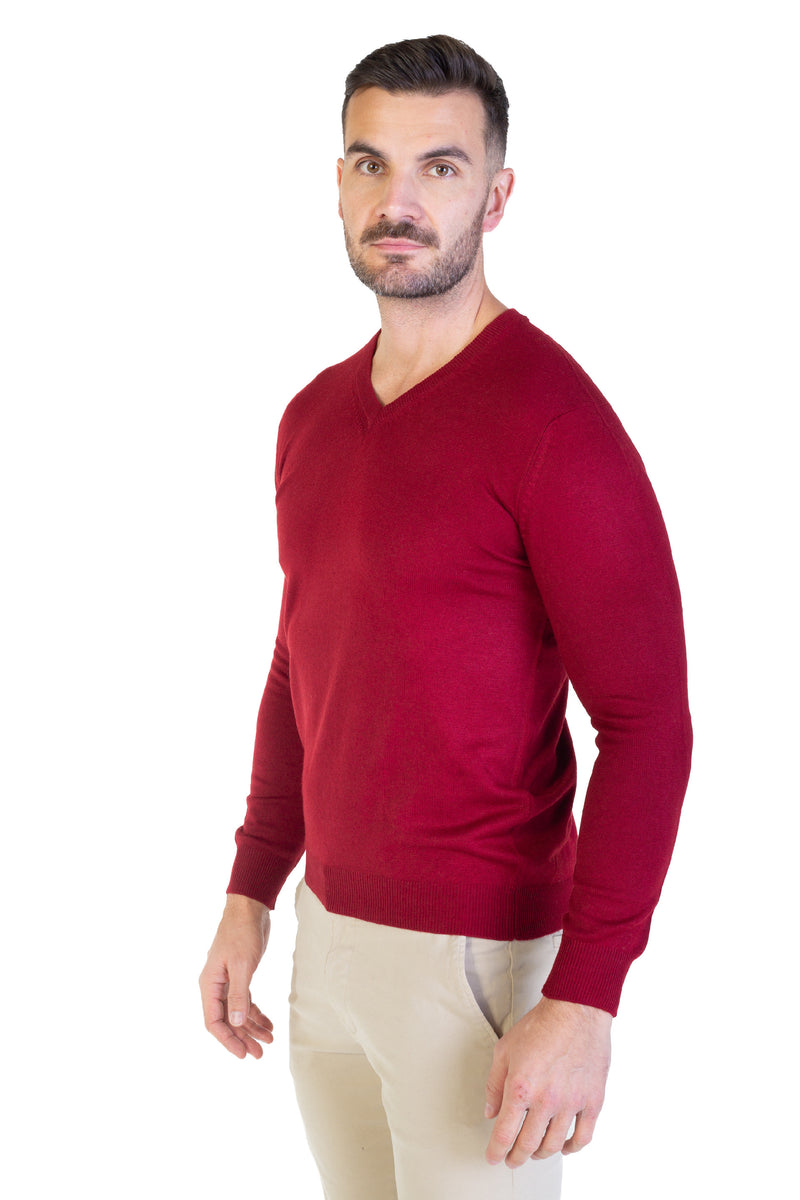Pullover mit V-Ausschnitt Tapio