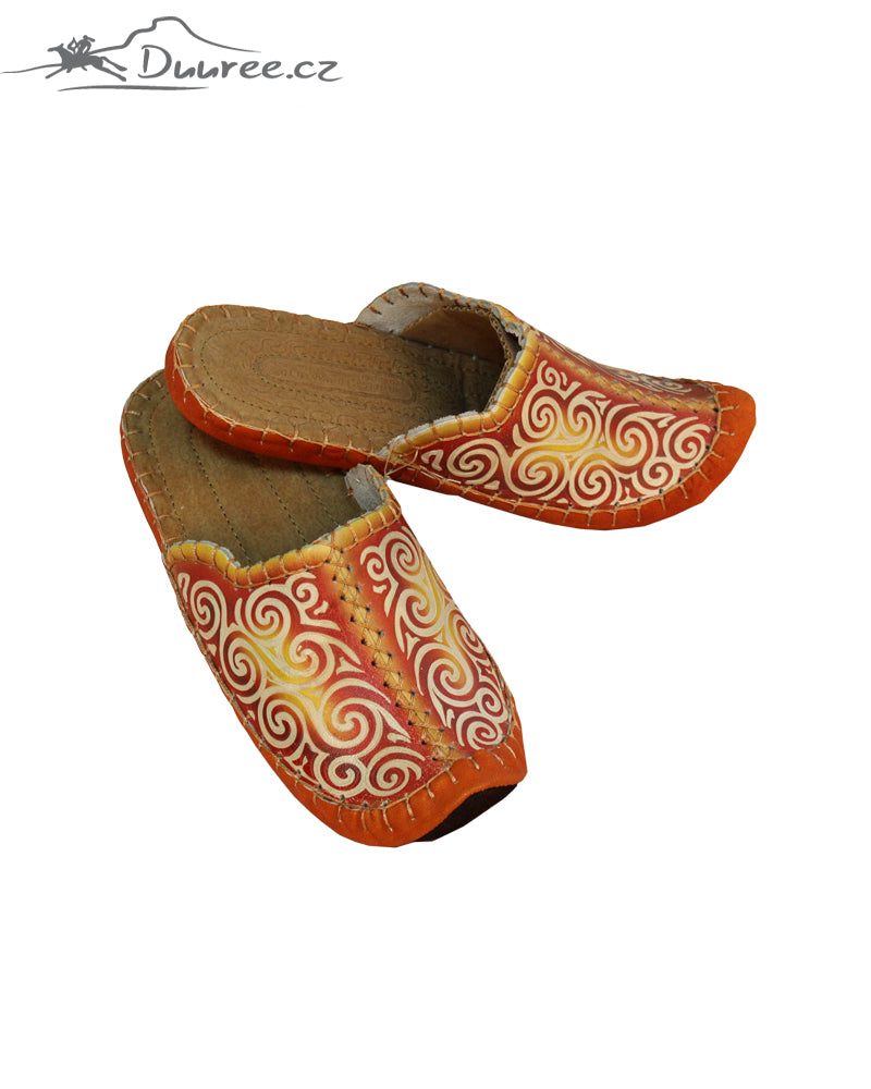 Lederschuhe endlaka
